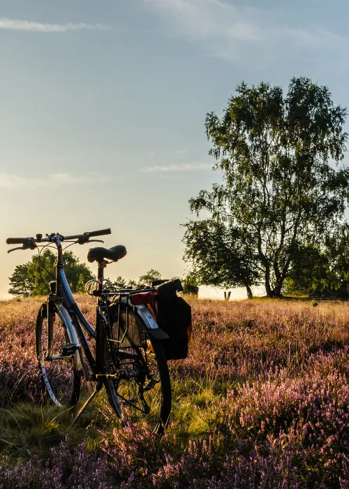fietsen op de hei