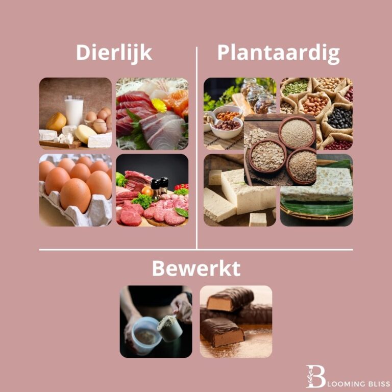 Dierlijke, plantaardige en bewerkte eiwitten